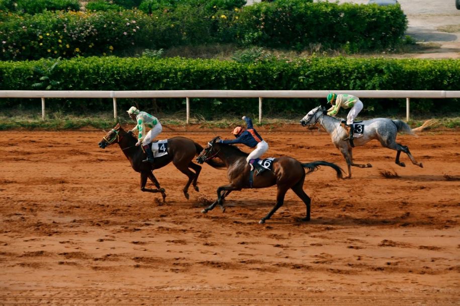 盛极一时:百年历史赛马场陷入危机