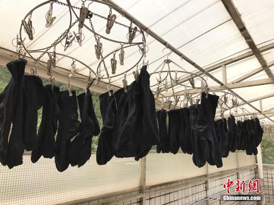 开眼了!看武警官兵们的"晾衣大法"_图片频道__中国青年网