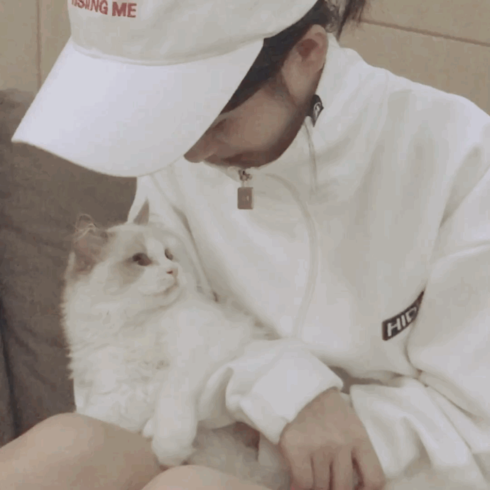 鞠婧祎一脸宠溺与猫猫对视苏化了
