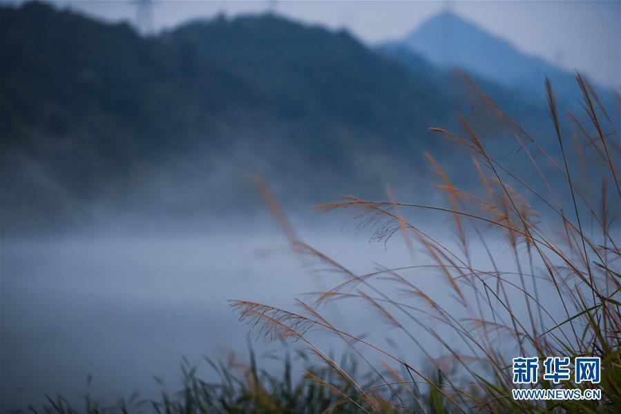 浙江建德市下涯镇的新安江江面升起白雾,呈现出美丽的风景.