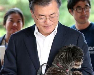 狗狗_副本.jpg