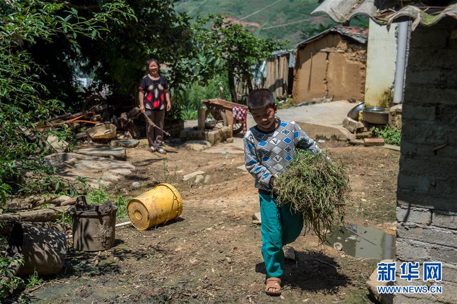 鲁甸地震三周年:寻访灾区"大眼睛"男孩