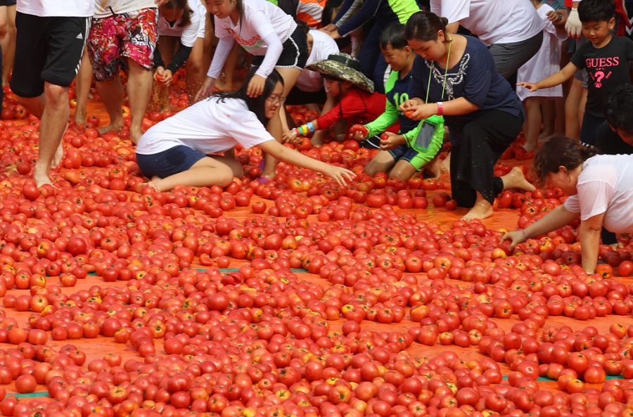 韩国西红柿节:5枚金戒指藏身83吨西红柿中_图片频道__中国青年网