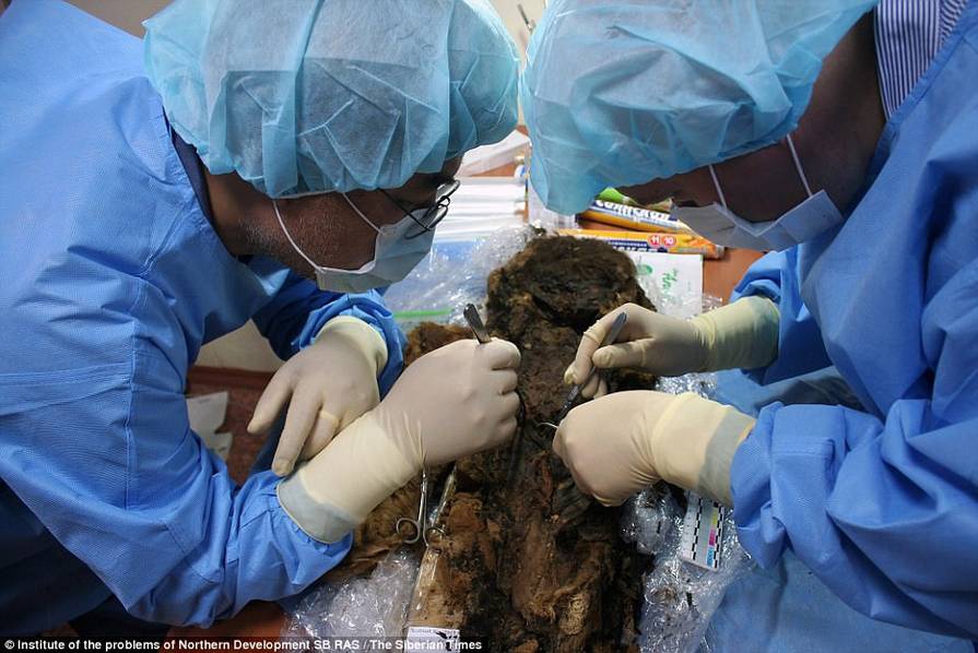 900年女木乃伊出土 頭髮睫毛仍完好