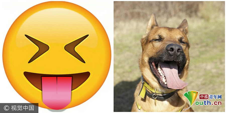 微信狗头表情emoji复制图片