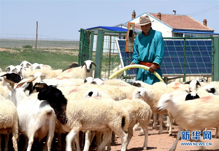 牧民苏德毕力格的现代生活_图片频道__中国青年网