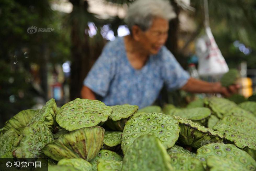 90岁老奶奶每天出摊卖莲蓬 挣钱贴补三儿子_图片频道__中国青年网