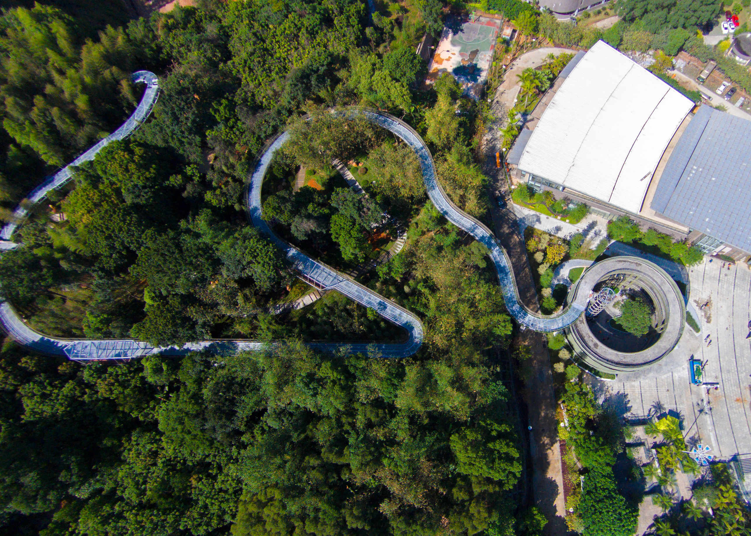 记者带你体验全国最长空中森林步道
