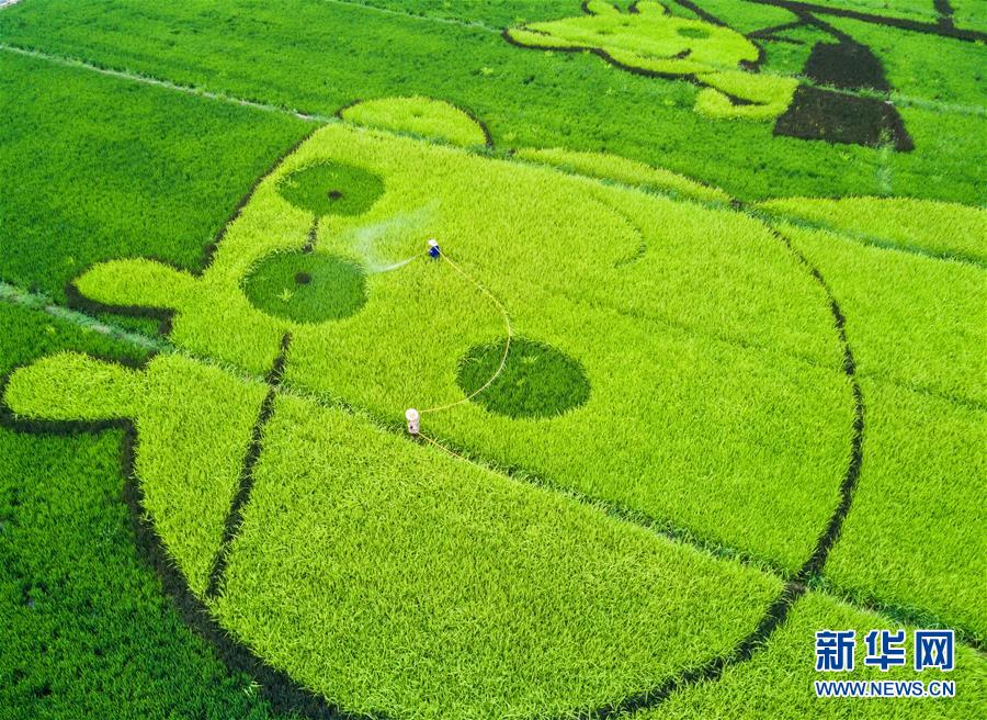 （经济）（2）美丽乡村迎来乡村旅游热