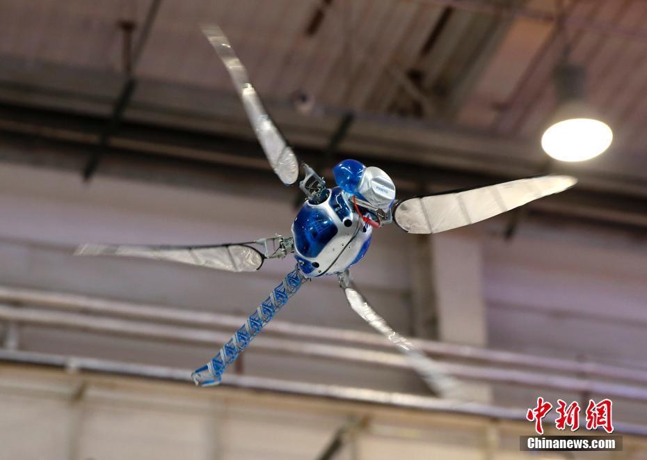 世界机器人大会开幕 仿生机器人亮眼