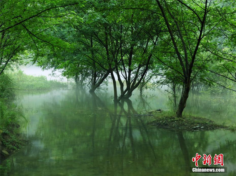 长江支流香景源现"白沙奇雾"景观 缥缈如仙境