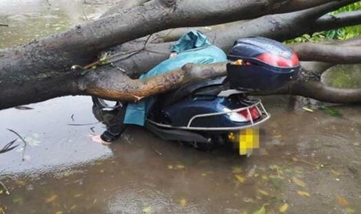 台风.jpg