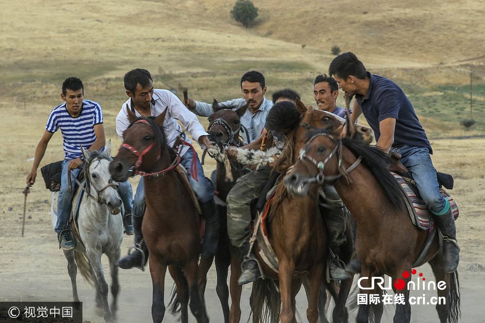 土耳其柯尔克孜族人举行传统马背叼羊比赛