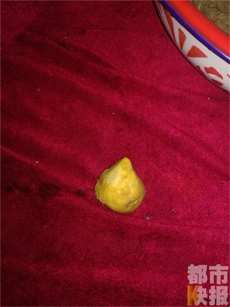 网传"鸡宝"1克卖36万 专家:没药用价值