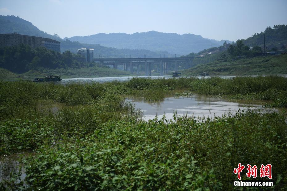 三峡工程启动新一轮175米试验性蓄水 长江水位持续升高