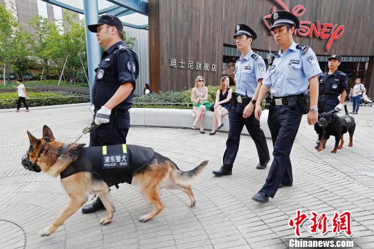 上海浦东警方全面启动携犬巡逻