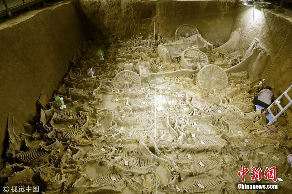 邯郸赵王陵墓被盗图片