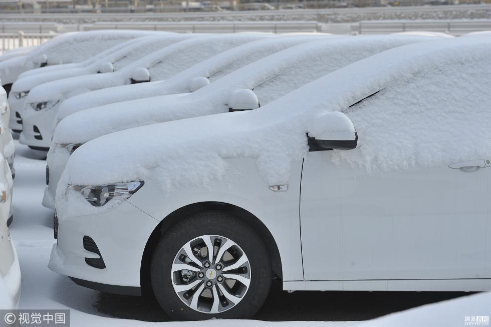 哈尔滨迎大雪 停车场车辆变"冰雕"