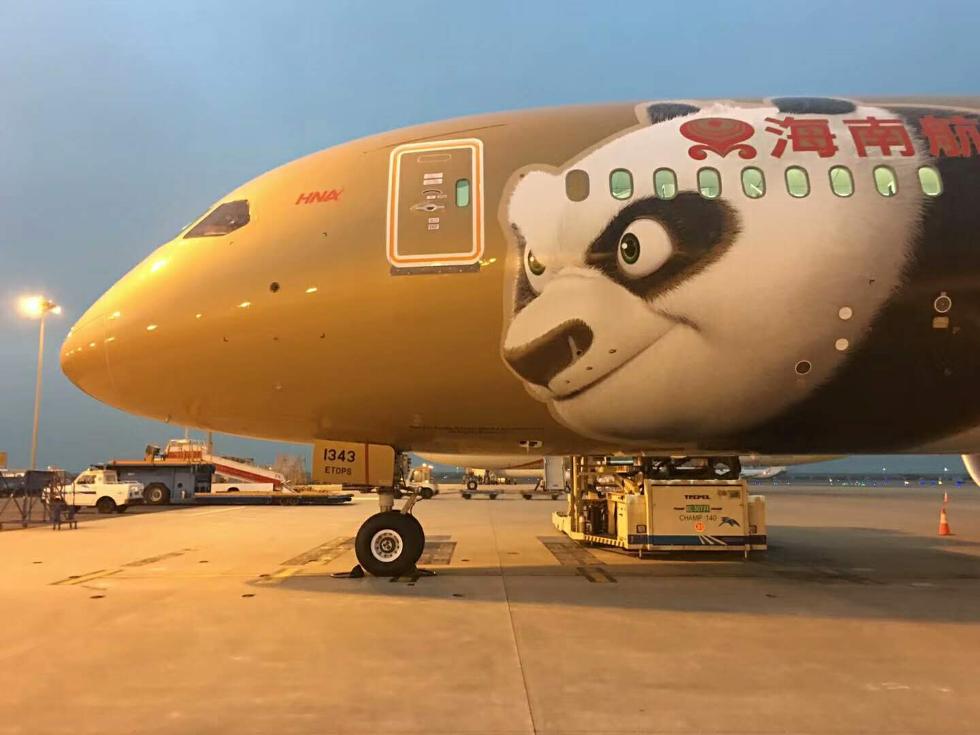 网友近拍海航金色功夫熊猫彩绘机