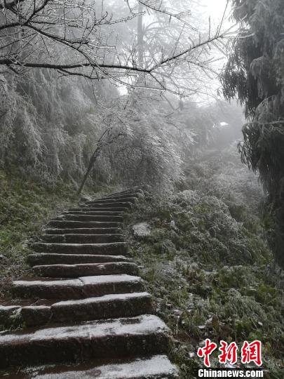 四川叙永丹山迎来首场降雪 一片银装素裹让人心驰神往(8/8)