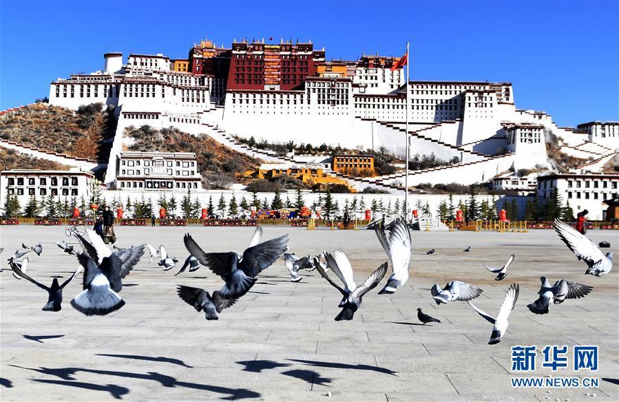 拉萨万物复苏 春意渐浓_新闻频道__中国青年网