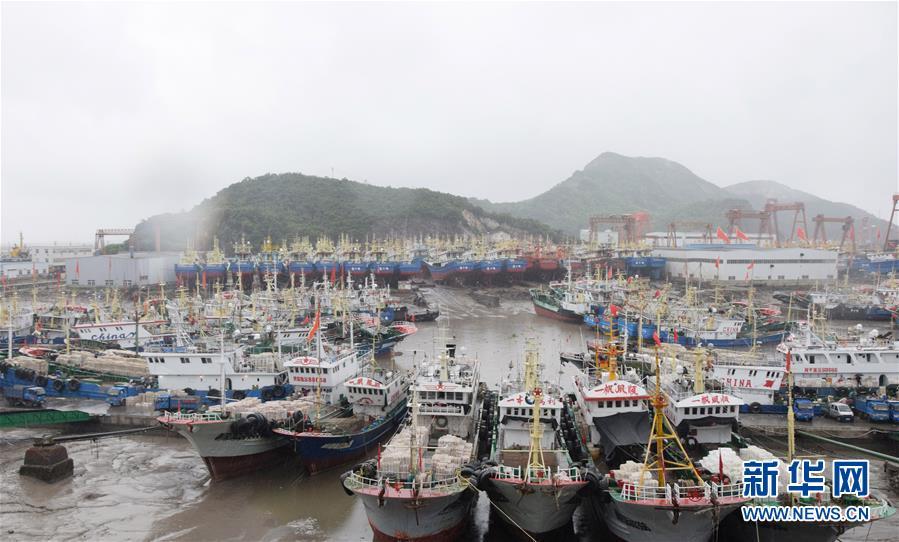 8月12日,大批渔船停靠在浙江省温岭市松门镇礁山码头避风.
