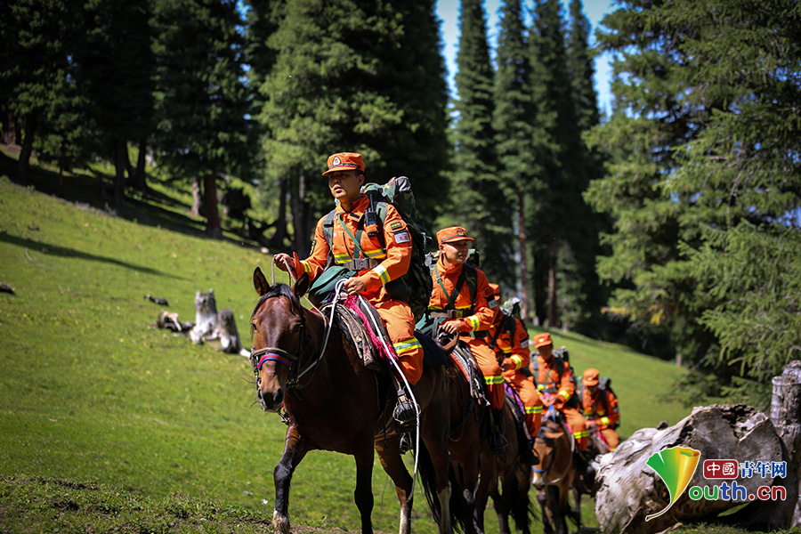 实拍| 为你揭开"空中草原"守护者的神秘面纱