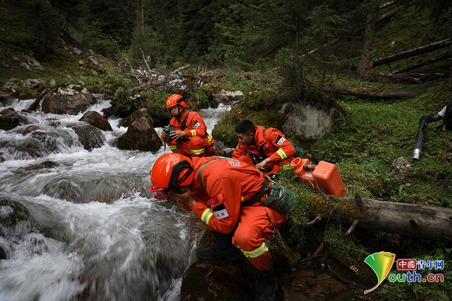 实拍| 为你揭开"空中草原"守护者的神秘面纱