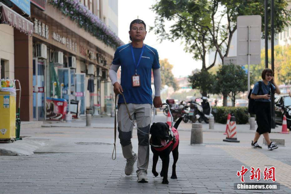 导盲犬亮相西安地铁站首只即将免费交付盲人使用66