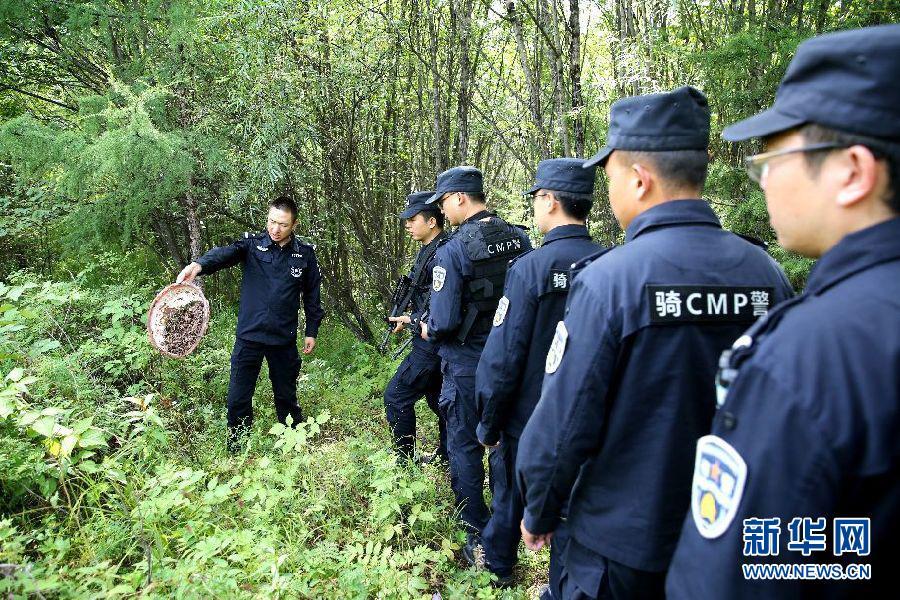 探访全国森林公安首支骑警队