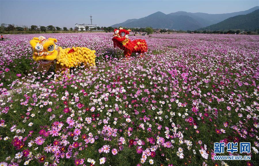 10月6日,