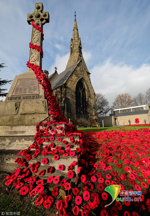 英国纪念一战结束100周年 "虞美人"花海倾泻而下
