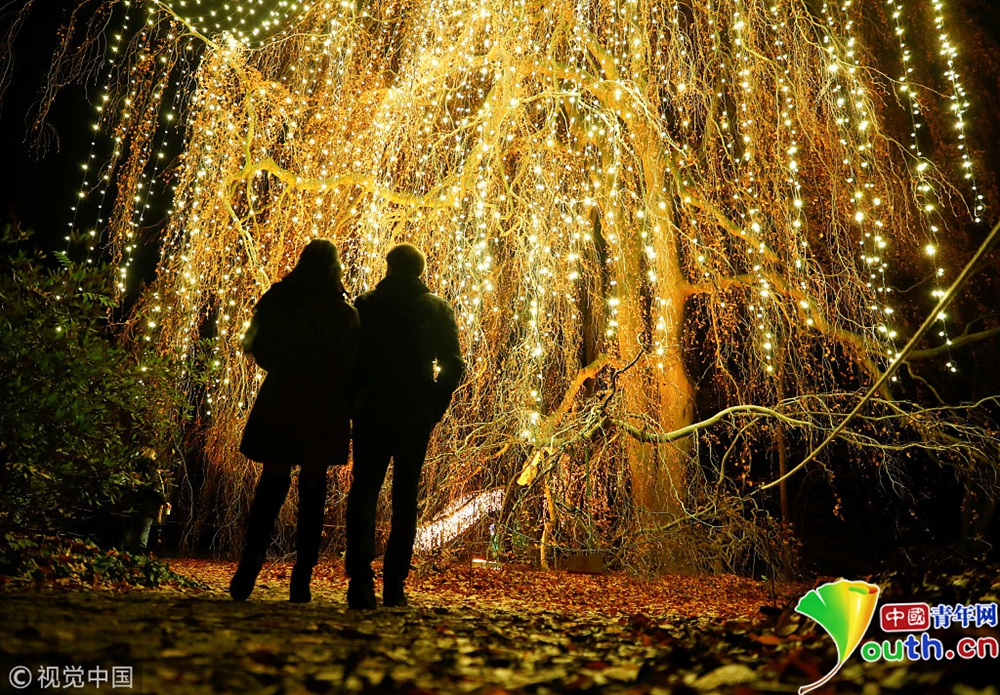 德国柏林植物园举行灯光秀百万彩灯装点浪漫夜空