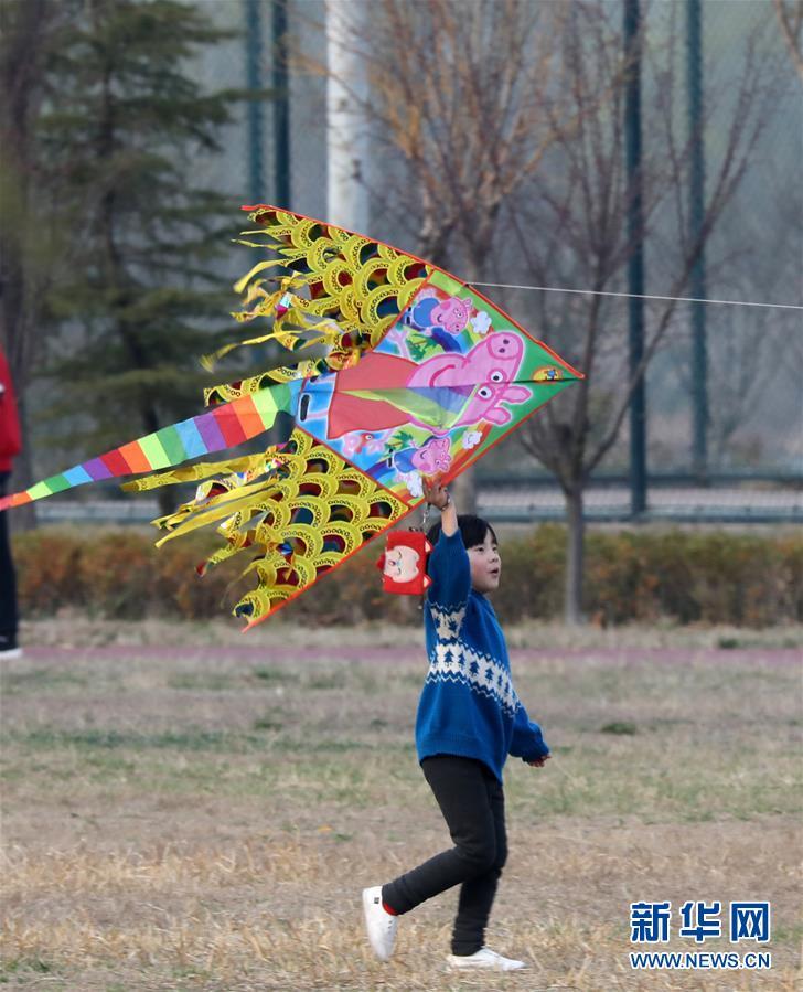 忙趁东风放纸鸢