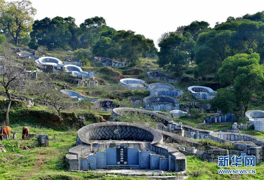 密林深处,水库旁边,大片豪华活人墓偷偷建造…… (8/13)