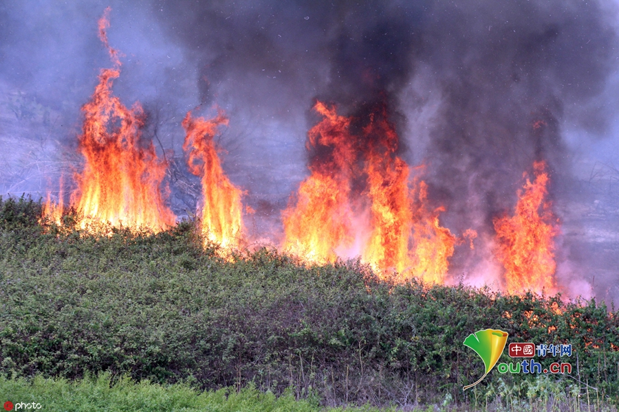 意大利卡塔尼亚爆发森林火灾 现场浓烟滚滚