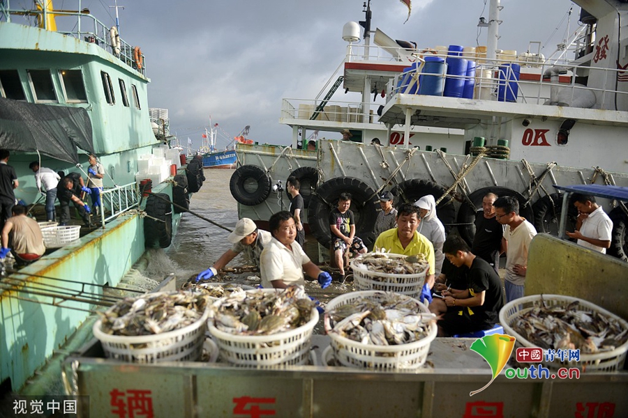 浙江舟山:漁船回港卸海鮮避