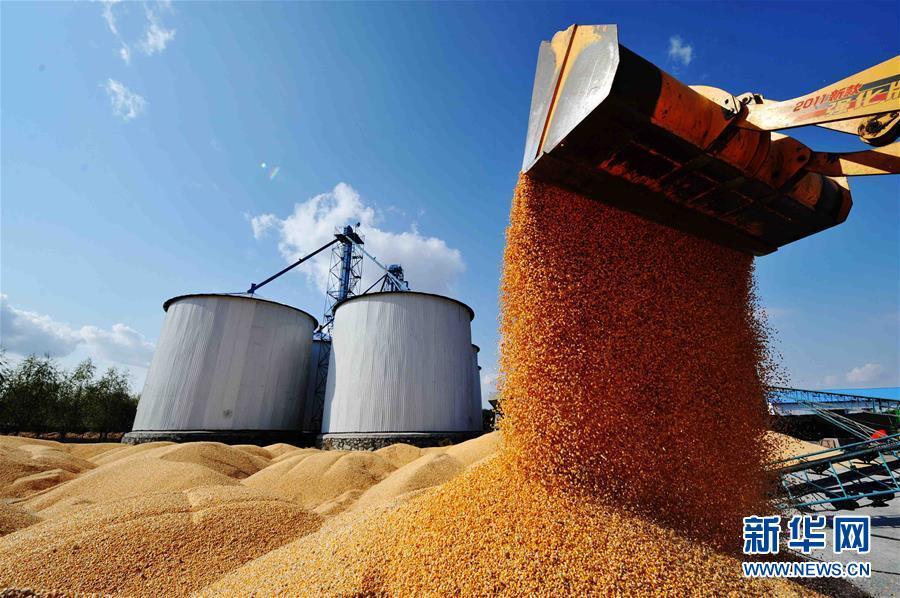 黑土龙腾新跨越黑龙江省争当农业现代化排头兵巡礼