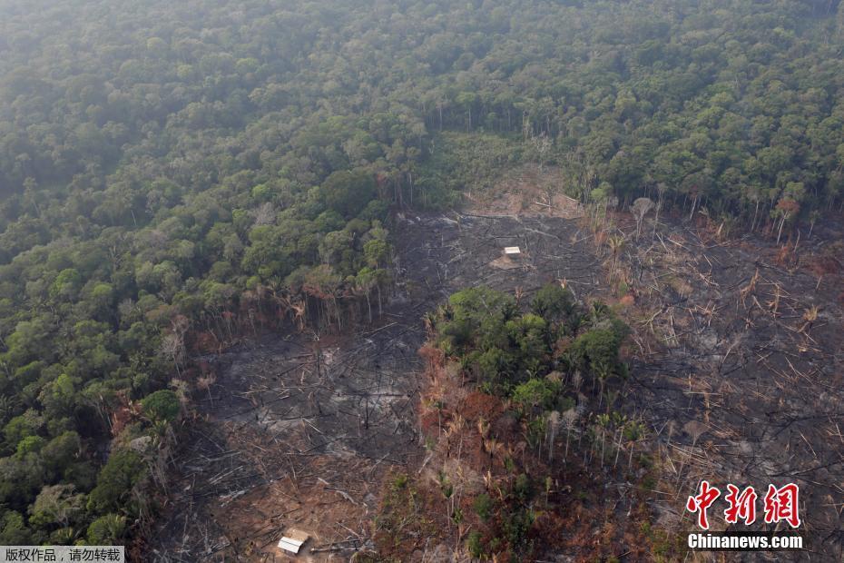 地球之肺火灾频发 航拍亚马逊雨林遭砍伐景象