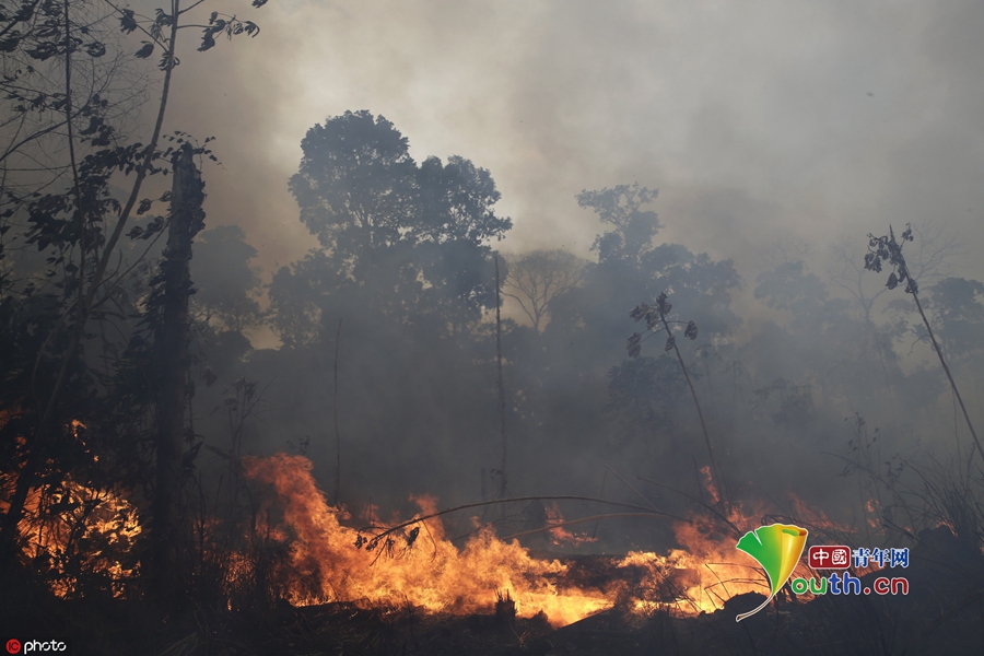 亚马逊雨林大火持续肆虐 巴西空军展示灭火设备