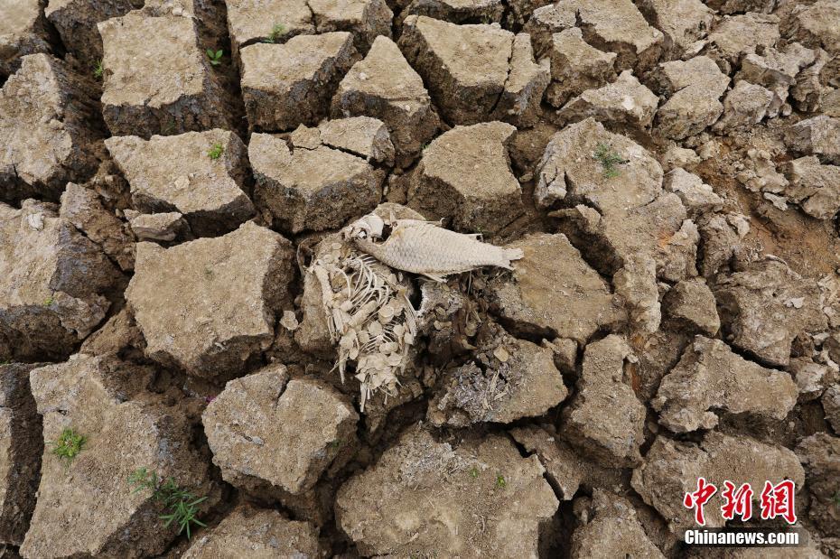 江西瑞昌干旱致水库见底 河床干裂_新闻频道__中国青年网