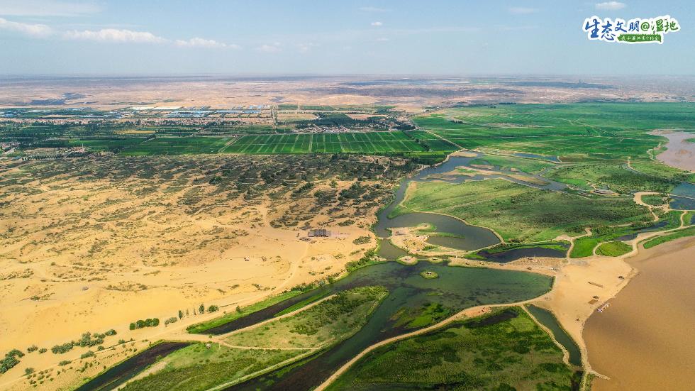 宁夏银川黄河黄沙古渡段黄河湿地. 祁瀛涛 摄