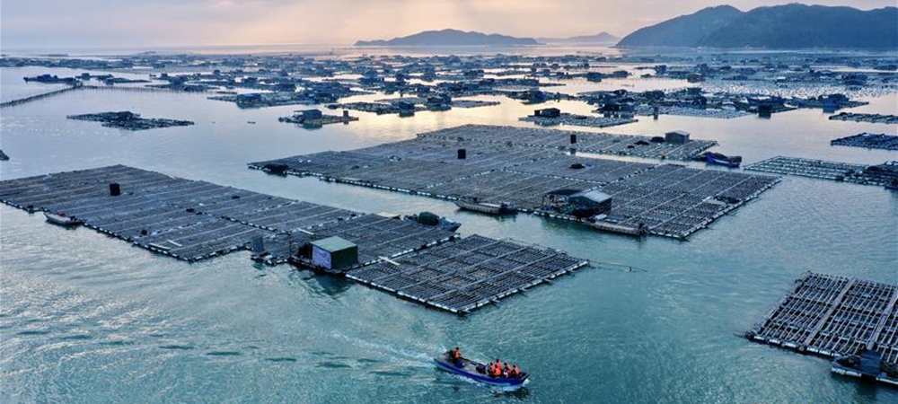 福建东山：光影海上牧场.jpg
