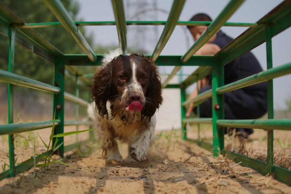缉毒犬"播求"和它的训导员
