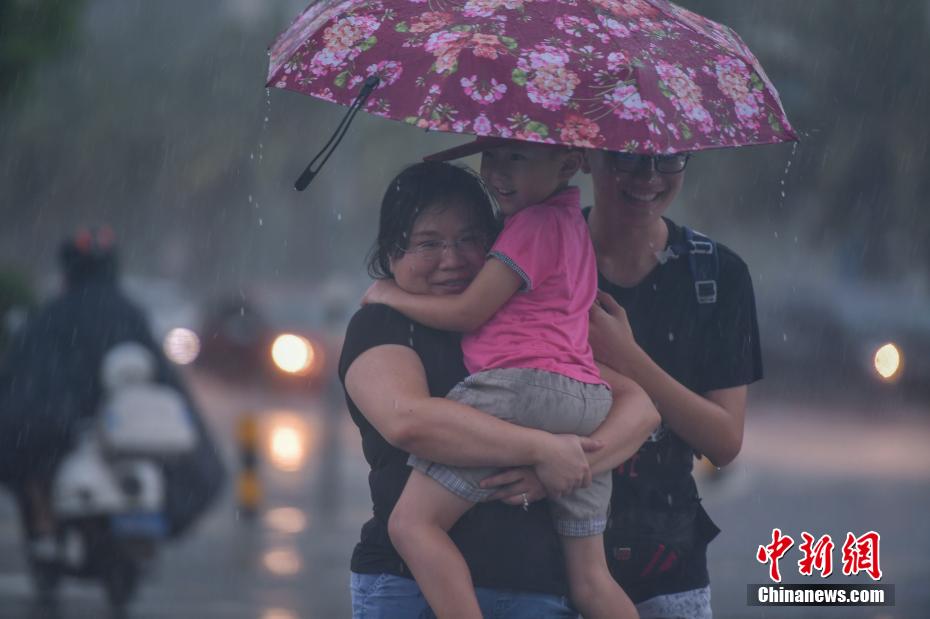 图为一家人在暴雨中撑伞过马路 骆云飞 摄
