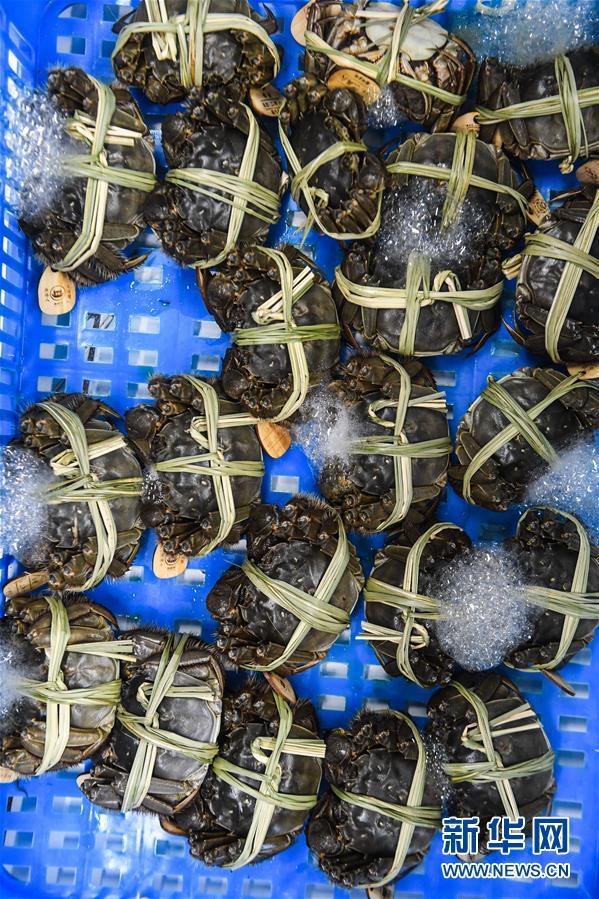 湖州吴兴:万亩湖蟹迎丰收