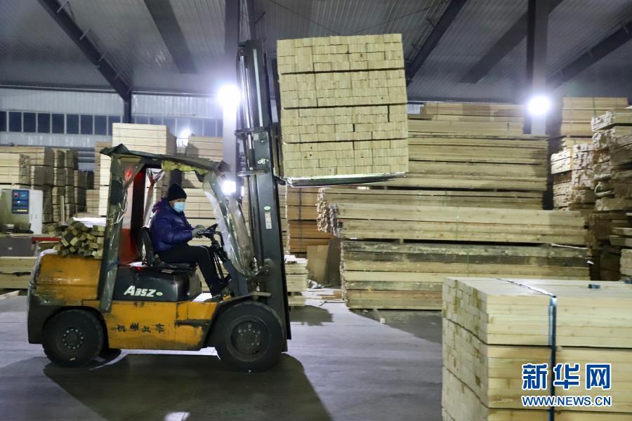 12月15日,在绥芬河一家木材加工企业生产车间,工人操作机械摆放木材