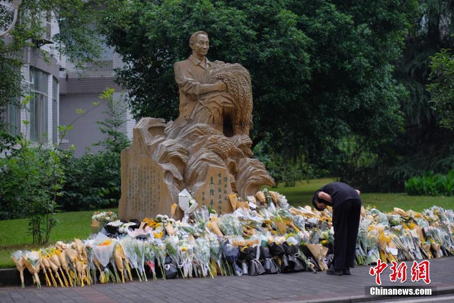 送别袁隆平图片