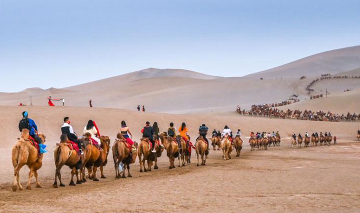  Ten thousand people visit Dunhuang Mingsha Mountain desert during the National Day holiday, and the camel caravan becomes a dragon with the word "Zhi". jpg