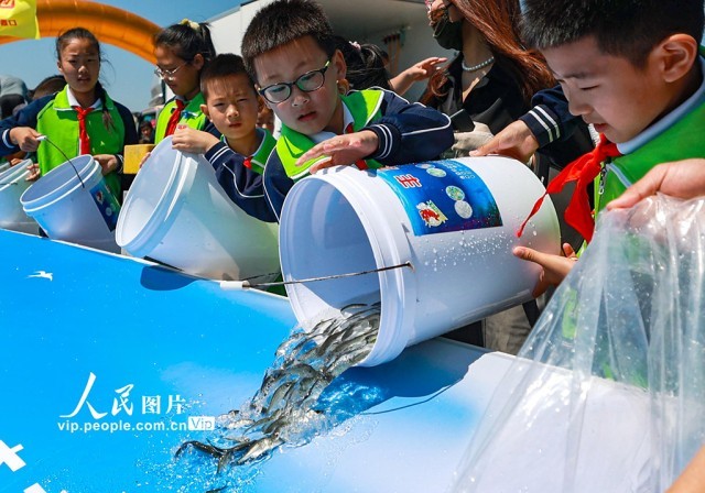 山东荣成：“纵鱼归海”增殖放流